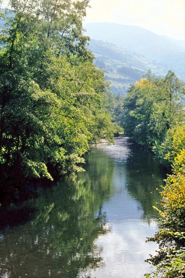 1 добрые реки. Река добра. Река добра Хорватия. Река добра и веры. Река до́бра в Карловаце.
