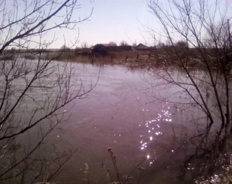 Уровень реки мокша