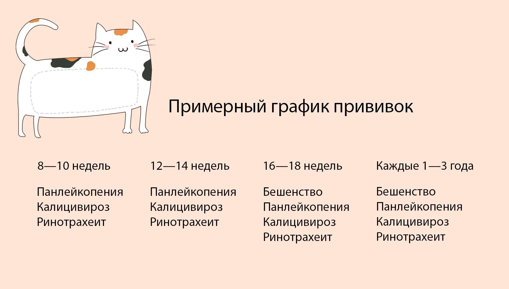 Вакцинация кошек какие. Какие прививки делают котятам в 2 месяца. Какие прививки делать коту и когда. Реестр прививок для кошек. Какие прививки делают котятам в 1 год.