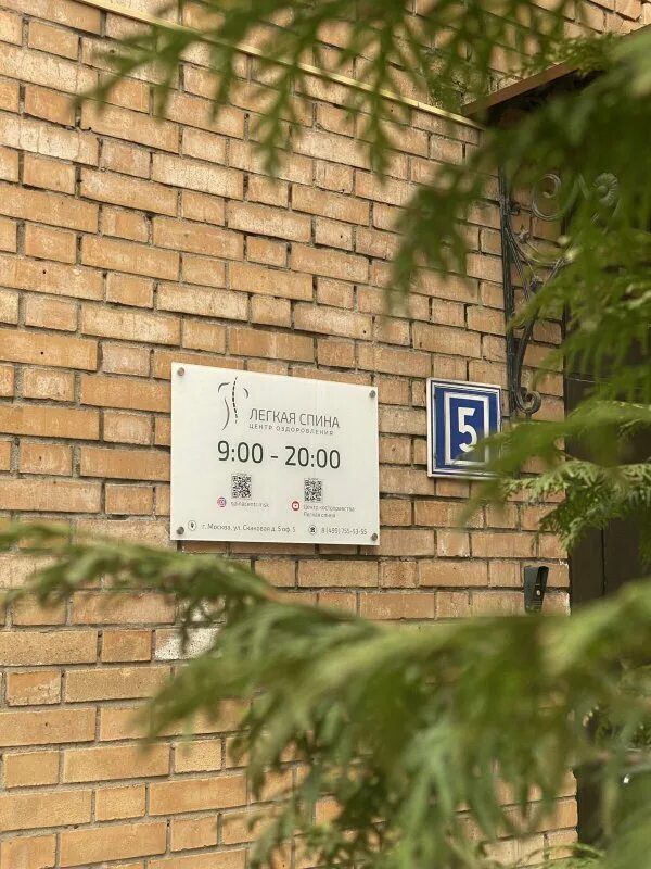 Легкая спина центр костоправов. Центр реабилитации позвоночника москва. Легкая спина центр москва. Костоправ боли в спине. Легкая спина центр москва.