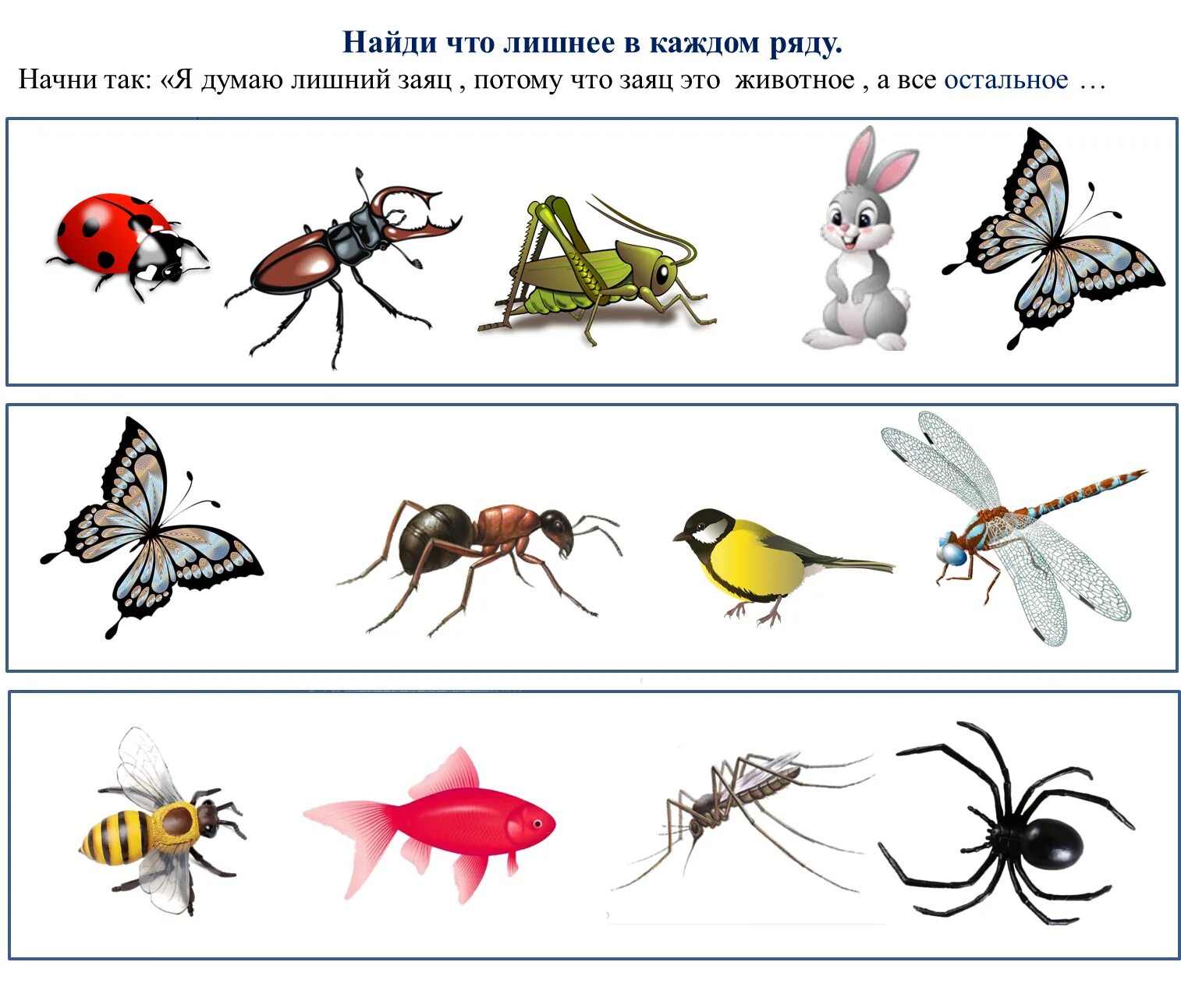 Конспект насекомые старшая группа. Насекомые задания для малышей. Насекомые для дошкольников. Плакат насекомые для детского сада. Задания по теме насекомые для дошкольников.
