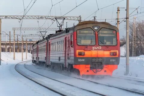Отзывы о поездах 2024