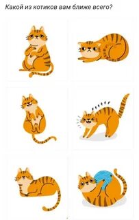 Подбери кота