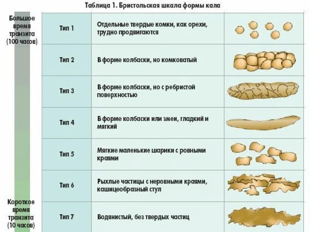 Причина зеленого цвета кала у человека. Классификация кала по Бристольской шкале. Бристольская шкала кала Тип 1. Норма кала по Бристольской шкале. Таблица кала Бристольская.