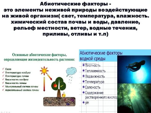 Абиотические экологические факторы среды. Абиотические факторы среды обитания примеры. Абиотические экологические факторы. Факторы среды воздействующие на организм. Влияние факторов живой природы на организм