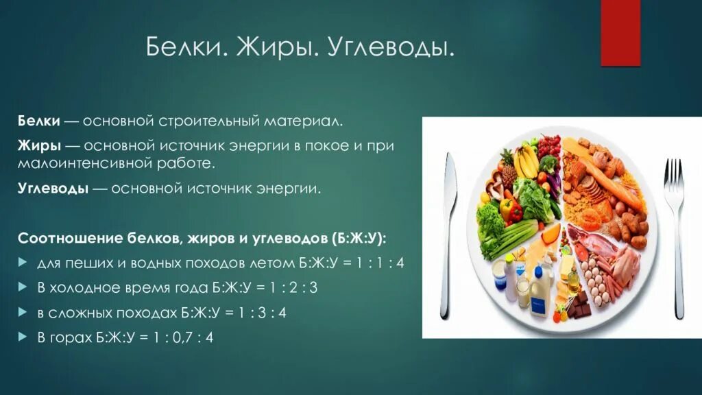 Основные источники белков жиров углеводов. Соотношение белков жиров и углеводов. Соотношение БЖУ. Правильное питание белки жиры углеводы. Белки жиры углеводы соотношение правильное питание.