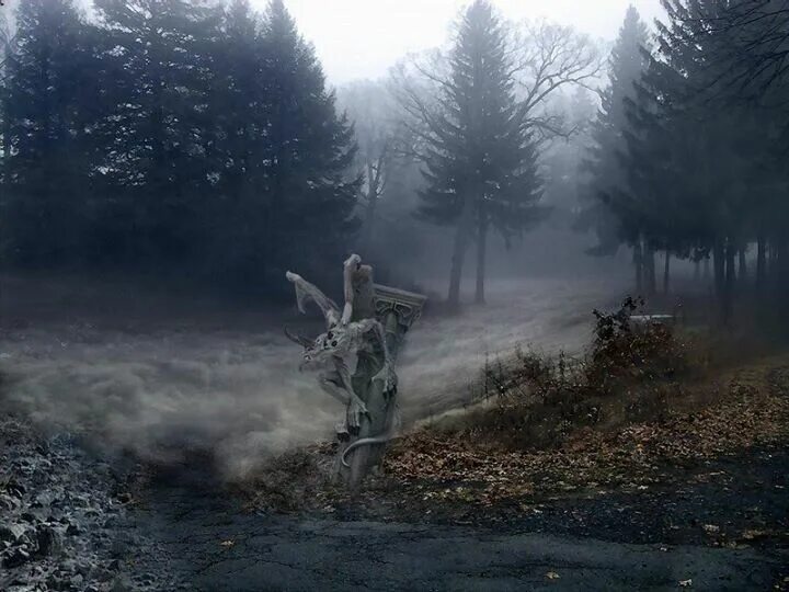 Красивый туман. Мистический фон. Мир окутан страшной мглой. Мир окутан страшной мглой. Атмосферный туман.