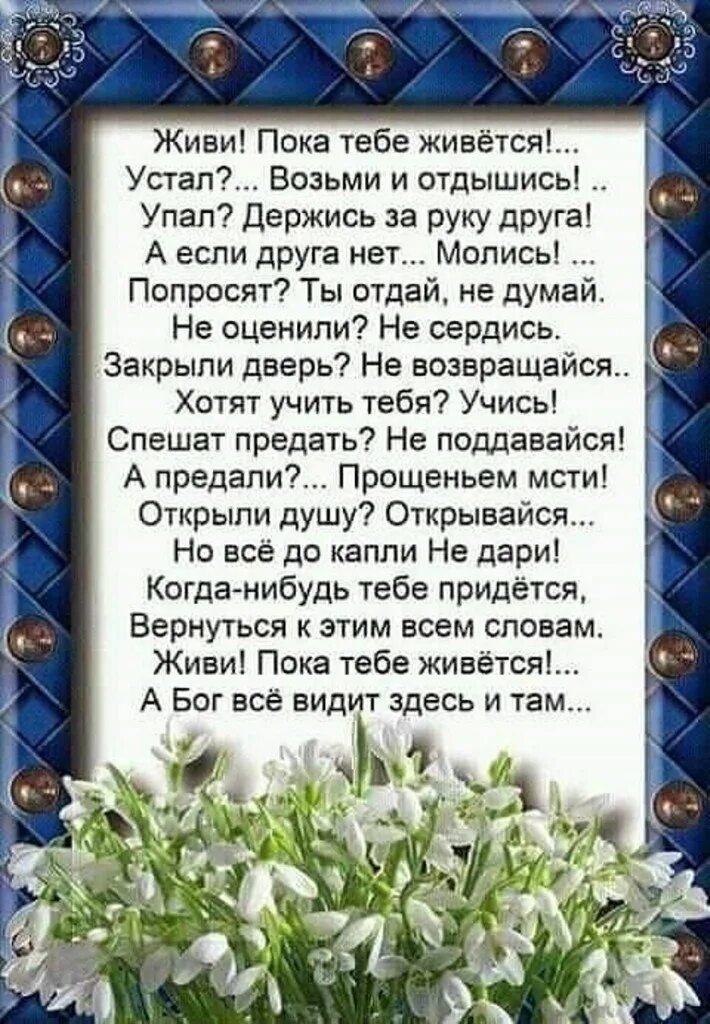 Стихотворение живи пока тебе живется. Живи пока тебе живётся стих. Пока живем на этом свете. Будьте живыми пока вы живы. Пока живем на этом свете.