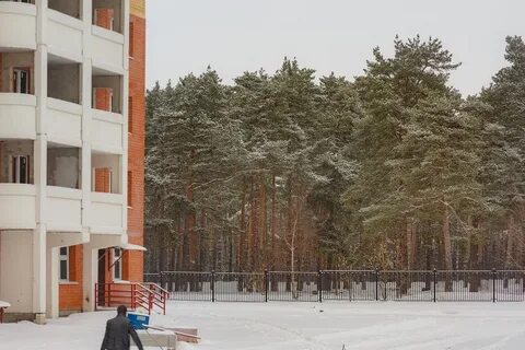 Сосновый бор голосование