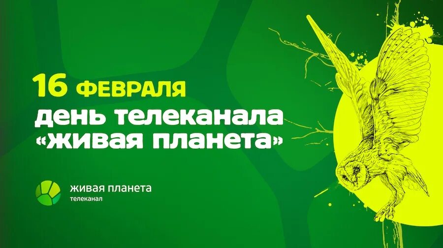 День живой планеты. Живая Планета. Телеканал Живая Планета. Живая Планета реклама. Телеканал Живая Планета 2022.