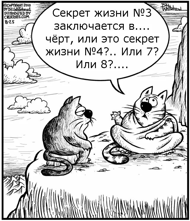 Девять жизни рассказ. У котов 9 жизней. Анекдот про 9 жизней. Стих про 9 жизней кошки. Шутки про девять жизней.