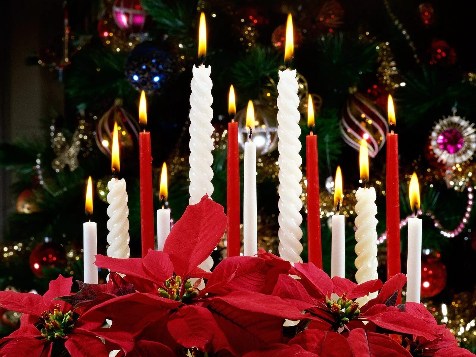 4 января нового года. Рождественские свечки. Рождество свечи. Новогодняя свеча. Свечи на новогоднем столе.