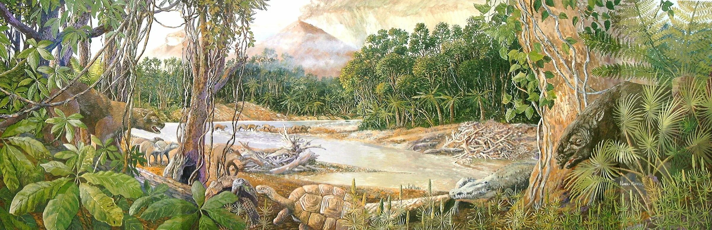 Кайнозой растительный мир. Кайнозойская эра неоген животные. Кайнозой эра неоген. Кайнозой растительный мир. Палеоген эра.