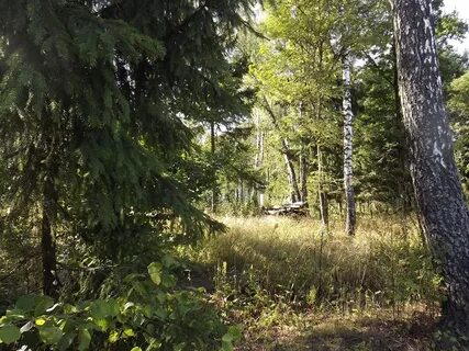Участки лесное 1