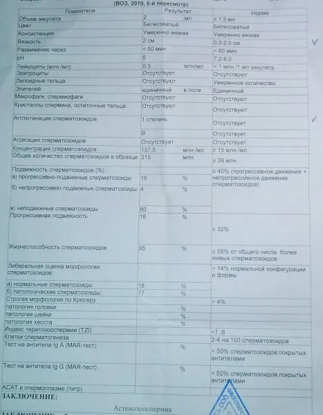 Результаты теста спермограммы. Контейнер спермограмма + mar-тест. норма спермограммы кдл. спермограмма воз 2010 результат. мар тест спермограмма норма.