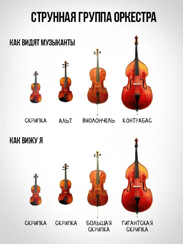 Струнно-смычковые инструменты симфонического оркестра. Состав симфонического оркестра струнные смычковые. Струнно-смычковые инструменты симфонического оркестра названия. Струнно смычковые инструменты названия список.
