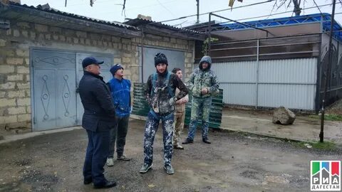 Проверка дагестан