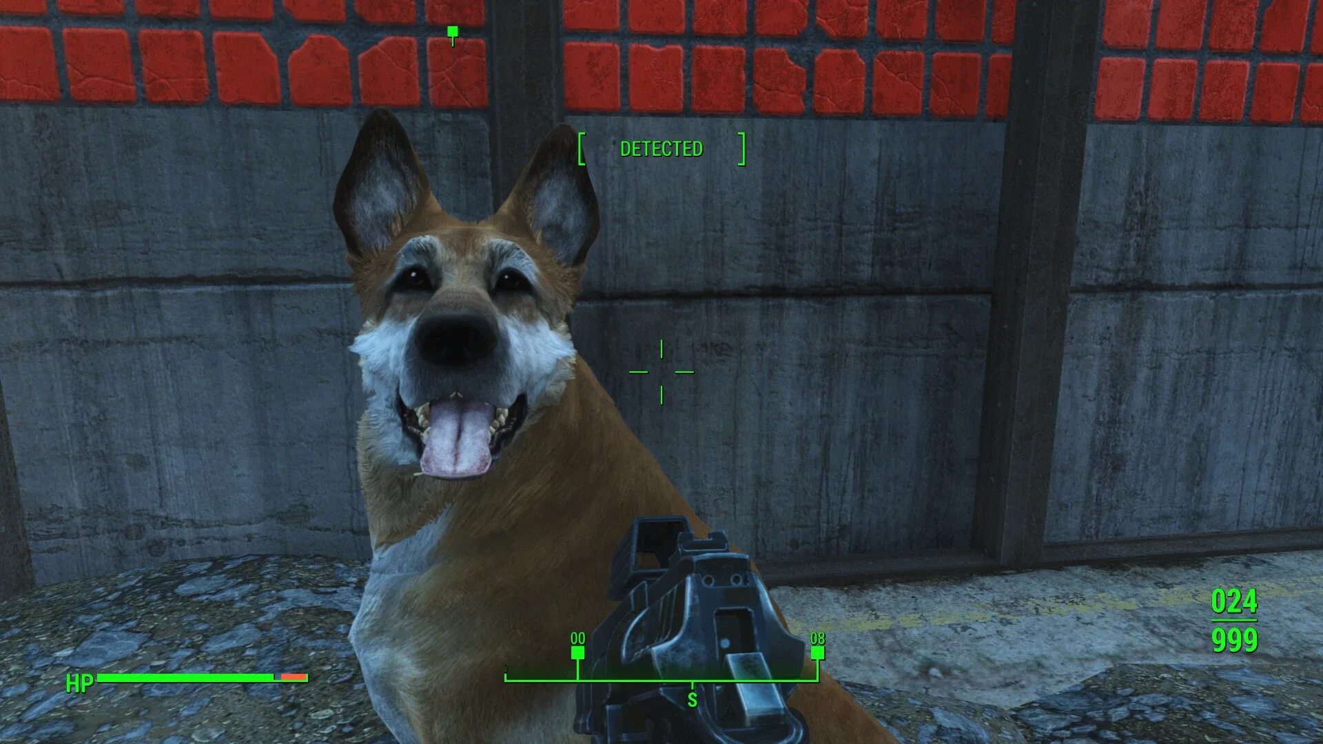 Как играть пес 1. Fallout 4 Mod компаньон собака. Fallout 1 компаньон собака. Фоллаут 4 черно белая псина мод.