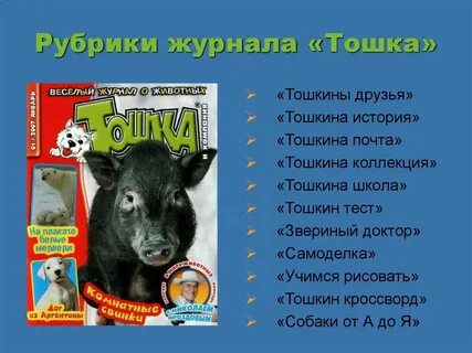 Категории журналов