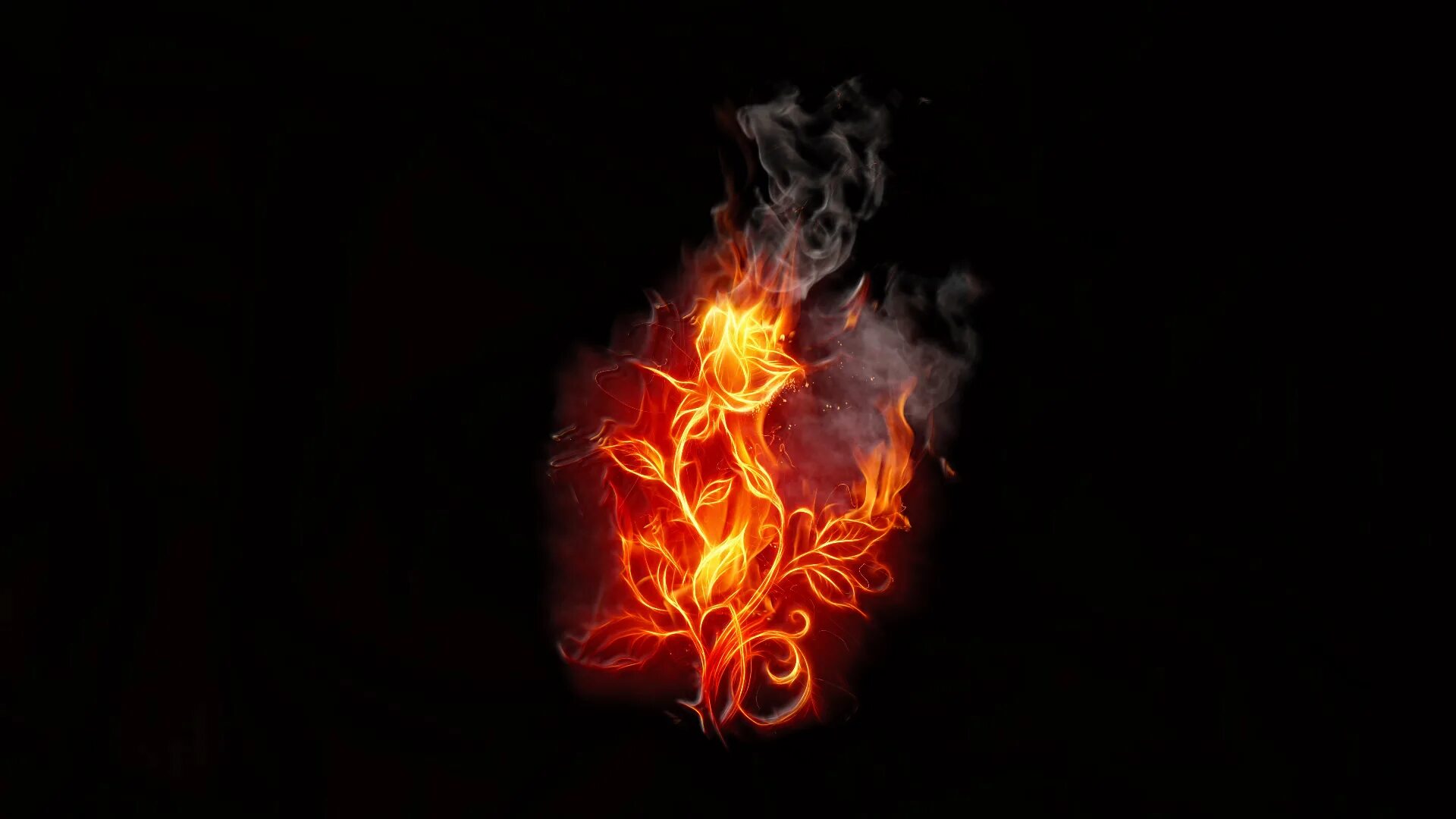 Burnt roses