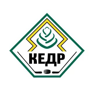 Детская хоккейная команда кедр
