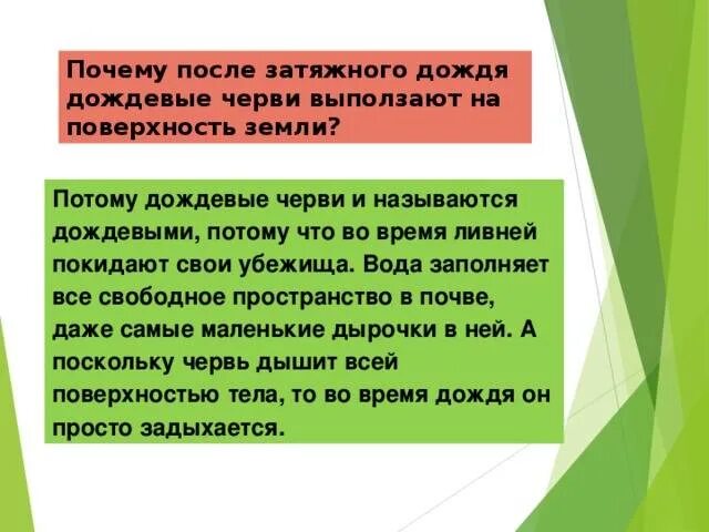 Почему черви выползают после дождя