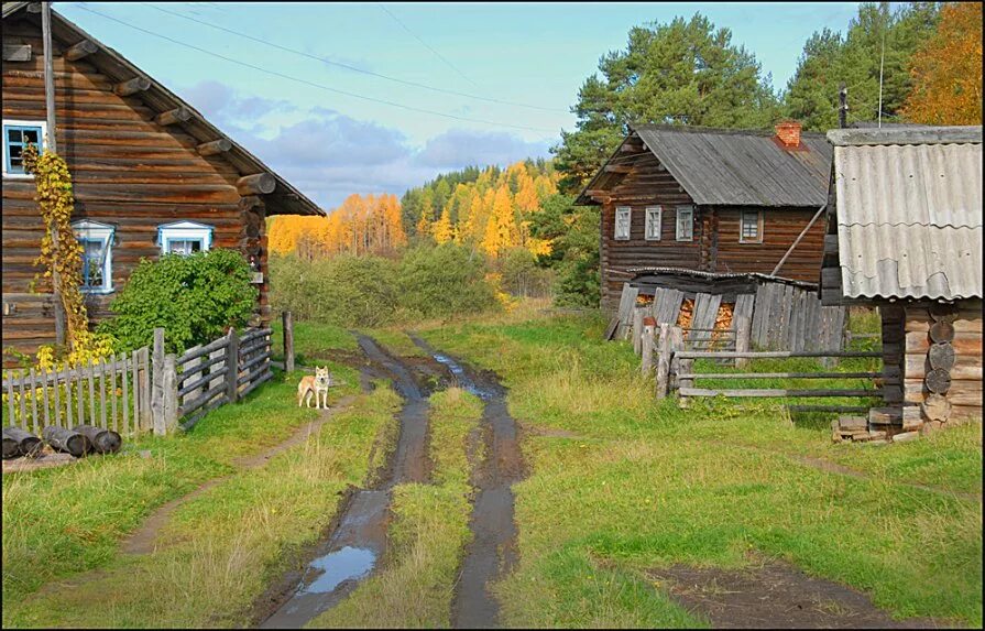 Про русские деревни. Образ деревни. Лето в глухой деревне. Деревня рядом с лесом. Деревня возле города.