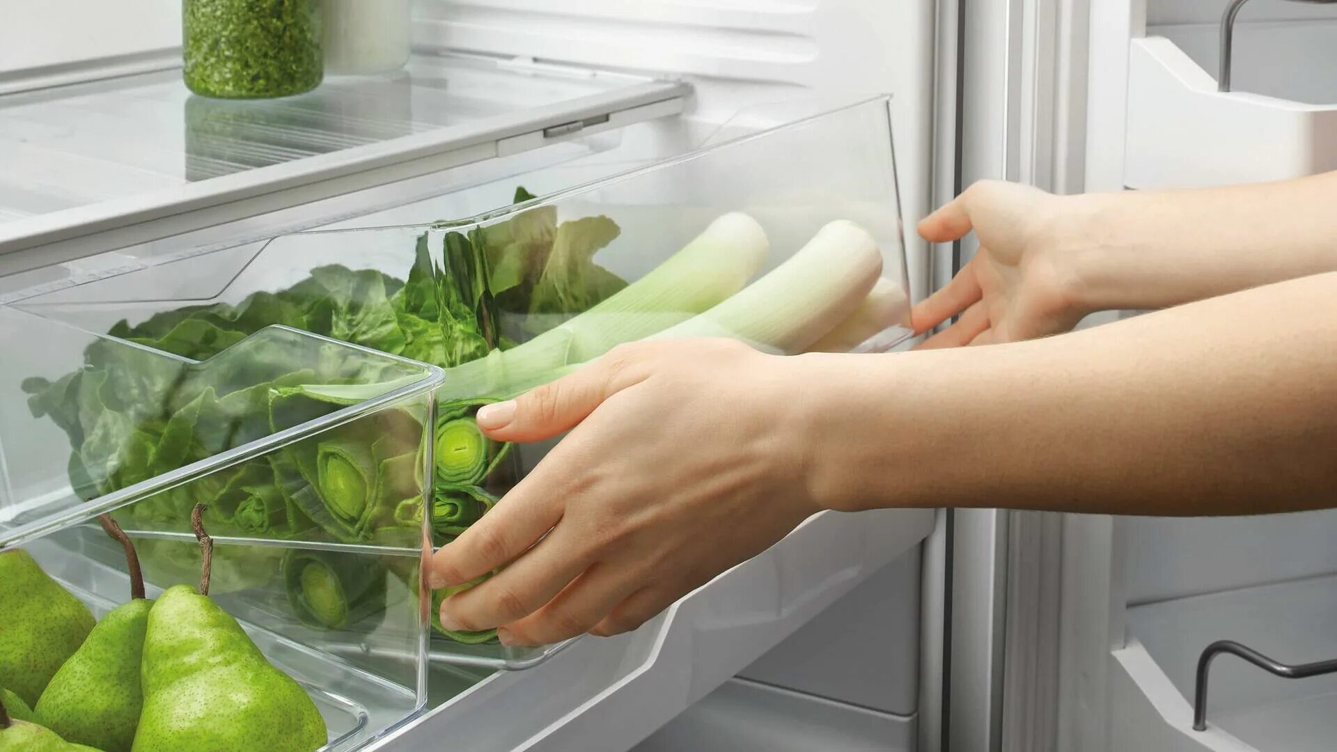 Хранение свежих овощей. Холодильник для зелени. Хранение зелени в холодильнике. Холодильник для овощей.