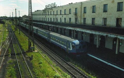 Бушевец бологое
