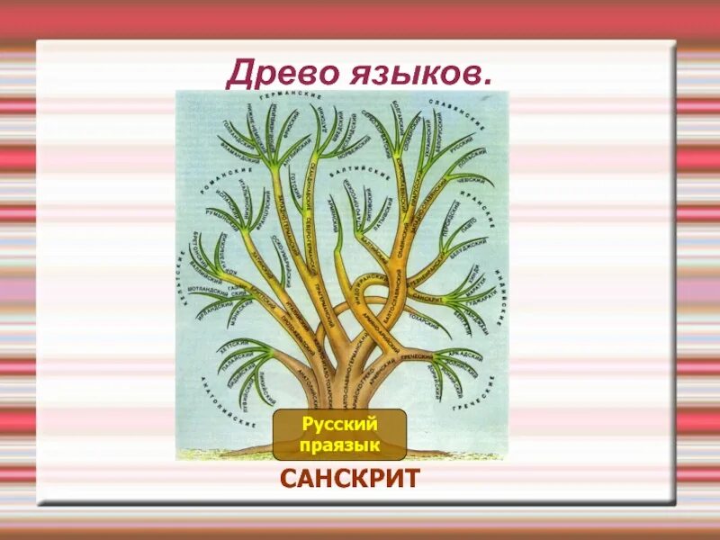 Древа юнеско. Языковое древо. русский язык древо языков. генеалогическое дерево языков. дерево языков юнеско.