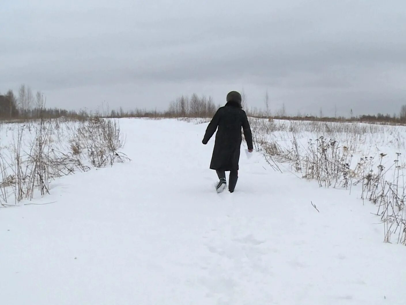 Село качки занесенное снегом. Деревню занесло снегом. Занесенная дорога снегом в деревне. Шароевка. Дом занесло снегом.