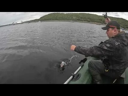 Рыбачий патруль видео