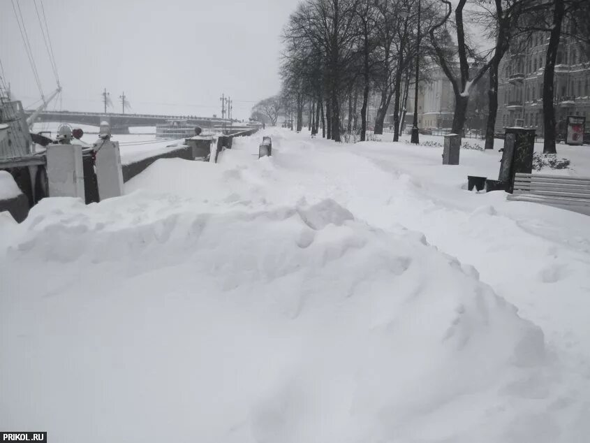 Завалы снега СПБ. Питер завалило снегом. Снегопад в Петербурге. Санкт-Петербург зима 2009. Сугробы по колено