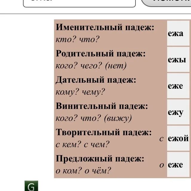 Ёжик склонение по падежам. Еж склонение по падежам. Просклонять по падежам слово Ежи. Ежа падеж. Колючий какой падеж