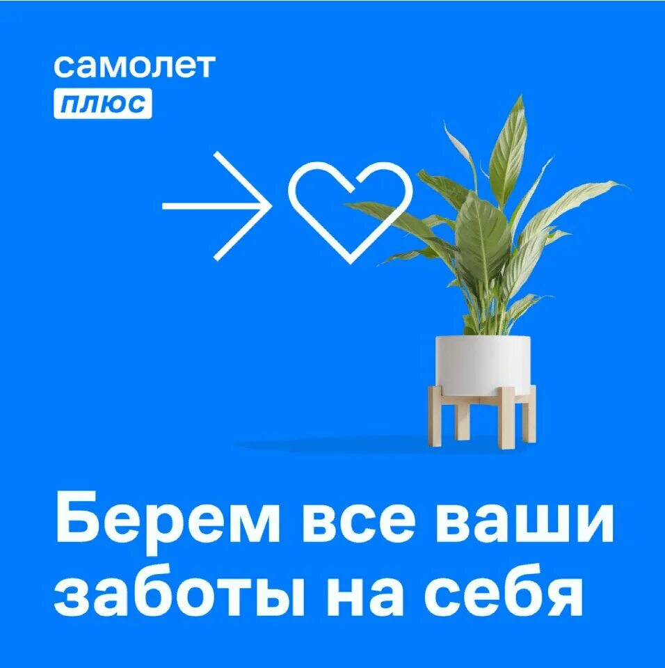 Самолет плюс телефон