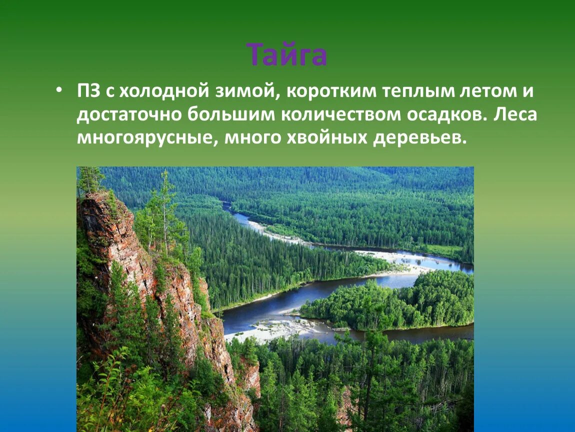 Тайга количество осадков. Пз тайга. климат тайги. тайга западной сибири. птк тайги.