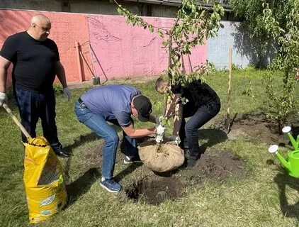 Посадка красноярск