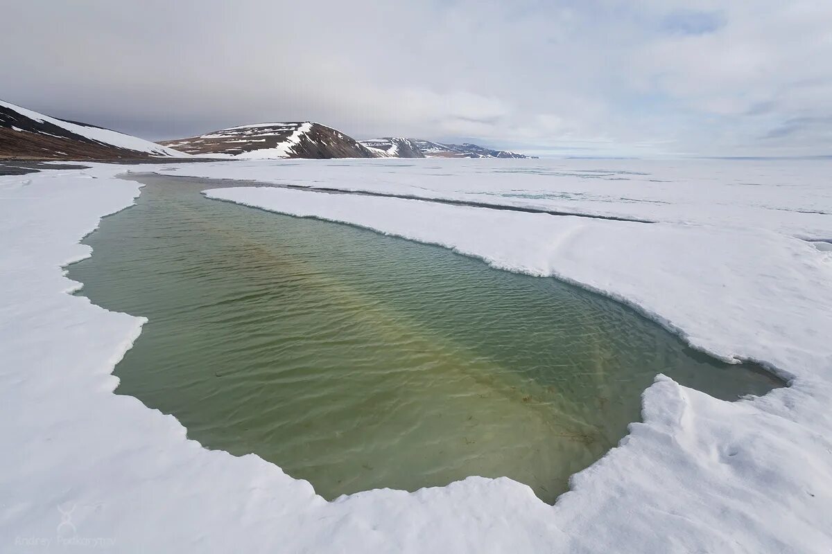 Река бассейна восточно сибирского моря. Чаунская губа Восточно-Сибирское море. Чаунская губа Чукотка. Губа Чукотское море Чаунская. Восточносибирсое море.