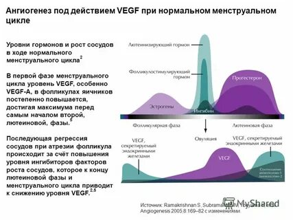Ингибиторы ангиогенеза