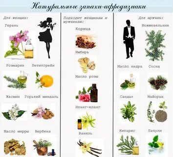Афродизиаки какое семейство ароматов