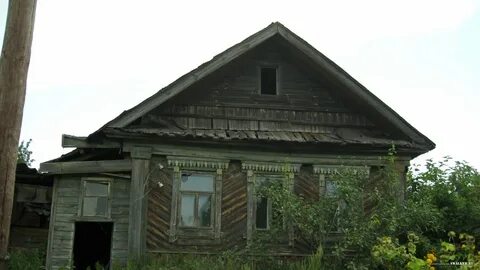 Деревня осинки