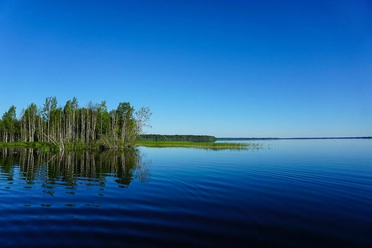 переславль-залесский озеро плещеево пляж. озеро красилово алтайский край база. ковжское озеро вологодская. переславль-залесский пляжи плещеева озера. река зай в альметьевске.