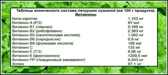 Петрушка химический состав. Петрушка витамины и микроэлементы. Содержание витамина с в петрушке. Сколько витамина с в петрушке. Укроп от цистита