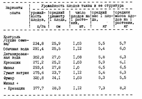 тыква с гектара. урожайность тыквы с га. урожайность тыквы. цветение тыквы. спелая тыква.