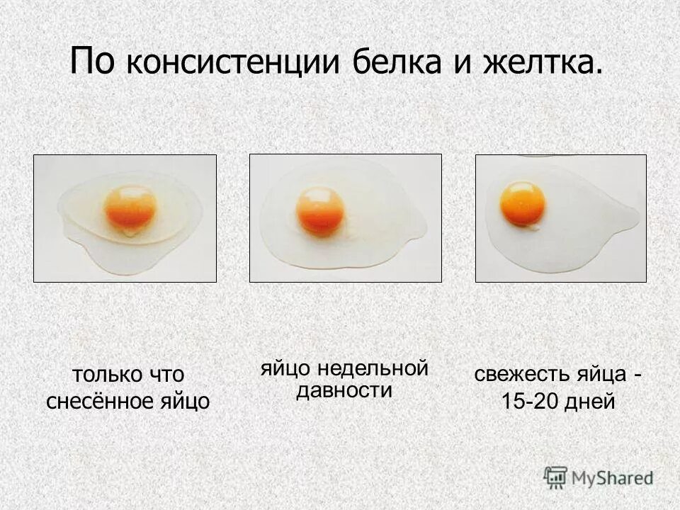 Почему белок мутный. Цвет куриного желтка. Нормальный цвет желтка. Цвет желтка яиц. Желток куриного яйца.