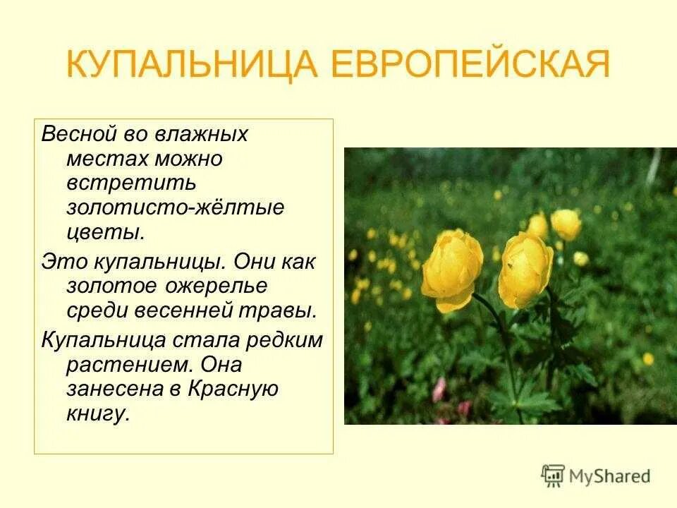 Текст песни италмас на удмуртском. Италмас символ удмуртии. Италмас песня текст. Тексты удмуртских песен. Италмас песня текст.
