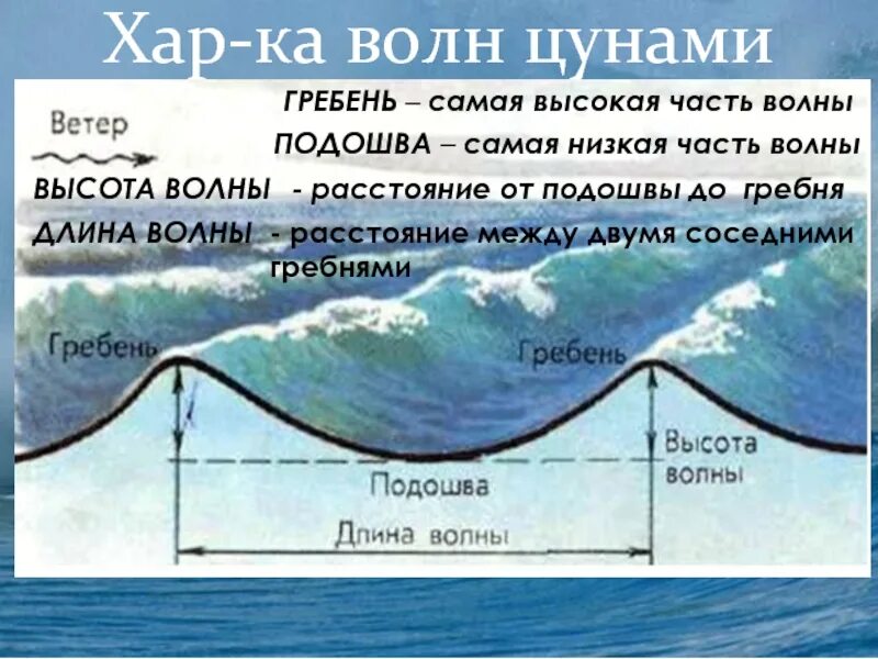 Длина волны ЦУНАМИ. Гребень ЦУНАМИ. ЦУНАМИ высота волны. Волна ЦУНАМИ гребень подошва.