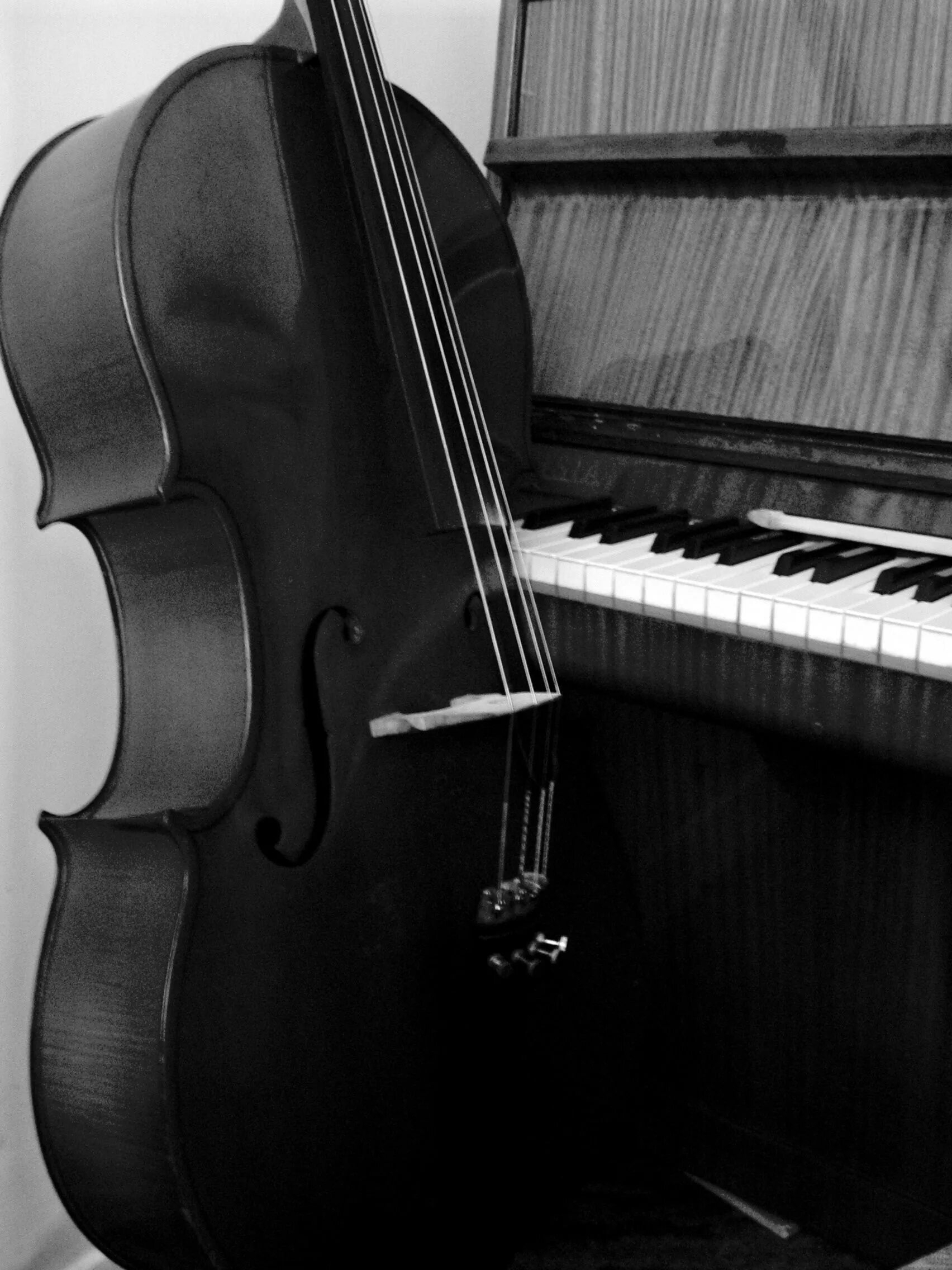 Dark piano. Черным черно инструментал. Черным черно инструментал. Atmospheric black metal лес. Фон клавиши фортепиано.