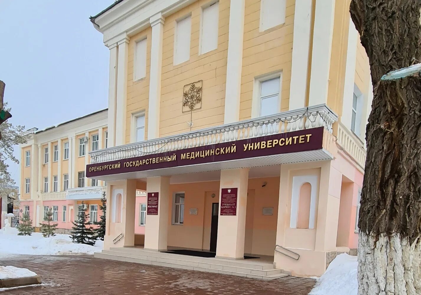 Медицинский университет оренбург 3 корпус. Оренбург колледж колледж огу. Коваленко 5 оренбург колледж. Оренбургская медицинская академия. Оренбургский медицинский университет парковый.
