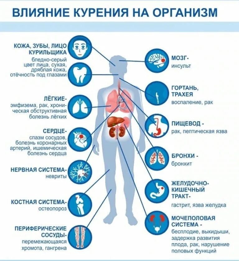 Как организм человека очищается. Воздействие курения на организм схема. Влияние курения табака на организм человека. Как табакокурение воздействует на организм человека?. Схема влияния курения на организм.